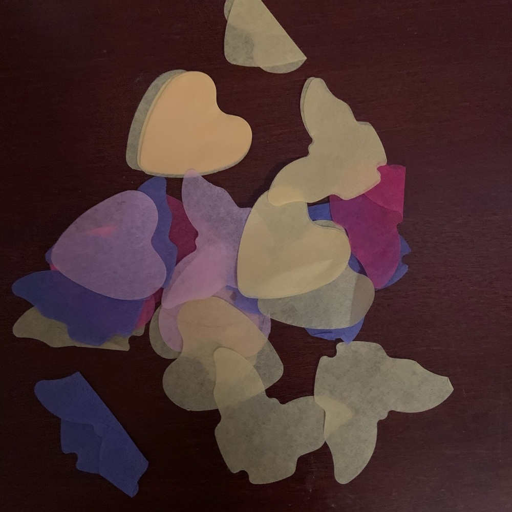 Taylor Swift “Lover” era confetti